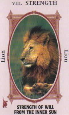 Animal Wise Tarot