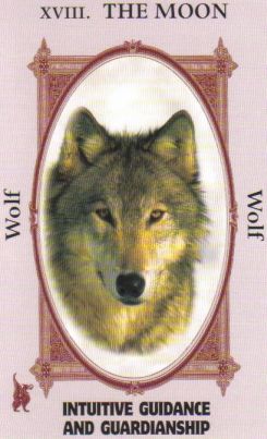 Animal Wise Tarot