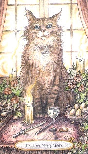 Soul Cats Tarot