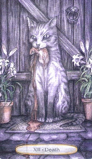 Soul Cats Tarot