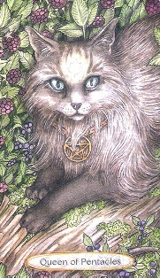 Soul Cats Tarot