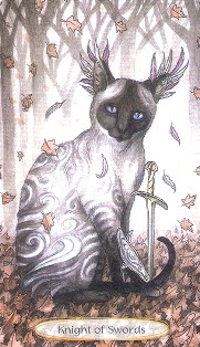 Soul Cats Tarot