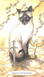 Soul Cats Tarot