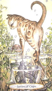 Soul Cats Tarot