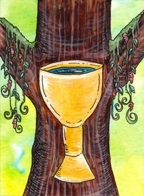 Tarot of Trees by Dana Driscoll