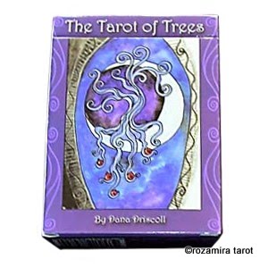 Tarot of Trees by Dana Driscoll