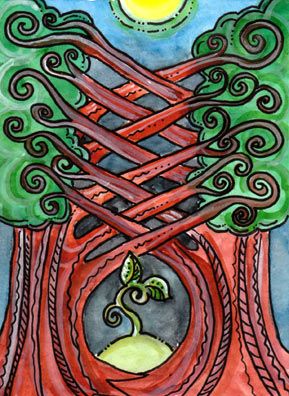 Tarot of Trees by Dana Driscoll