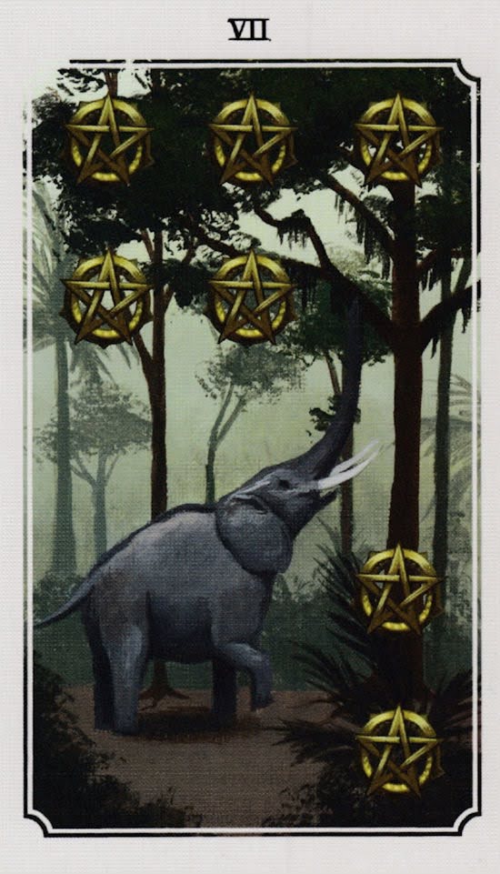 Anima Mundi Tarot