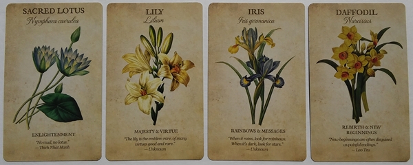 Botanical Inspirations Deck & Book Set