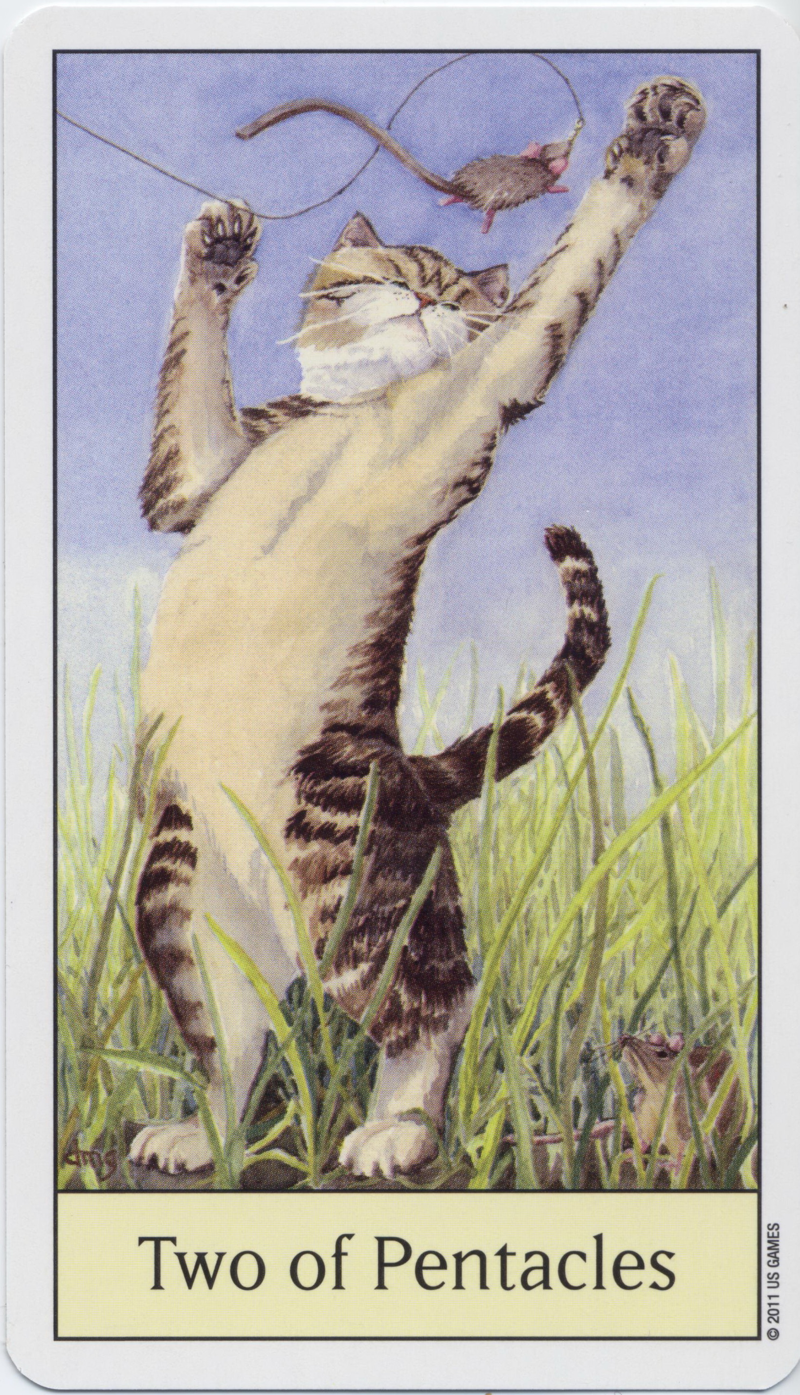 Cat's Eye Tarot