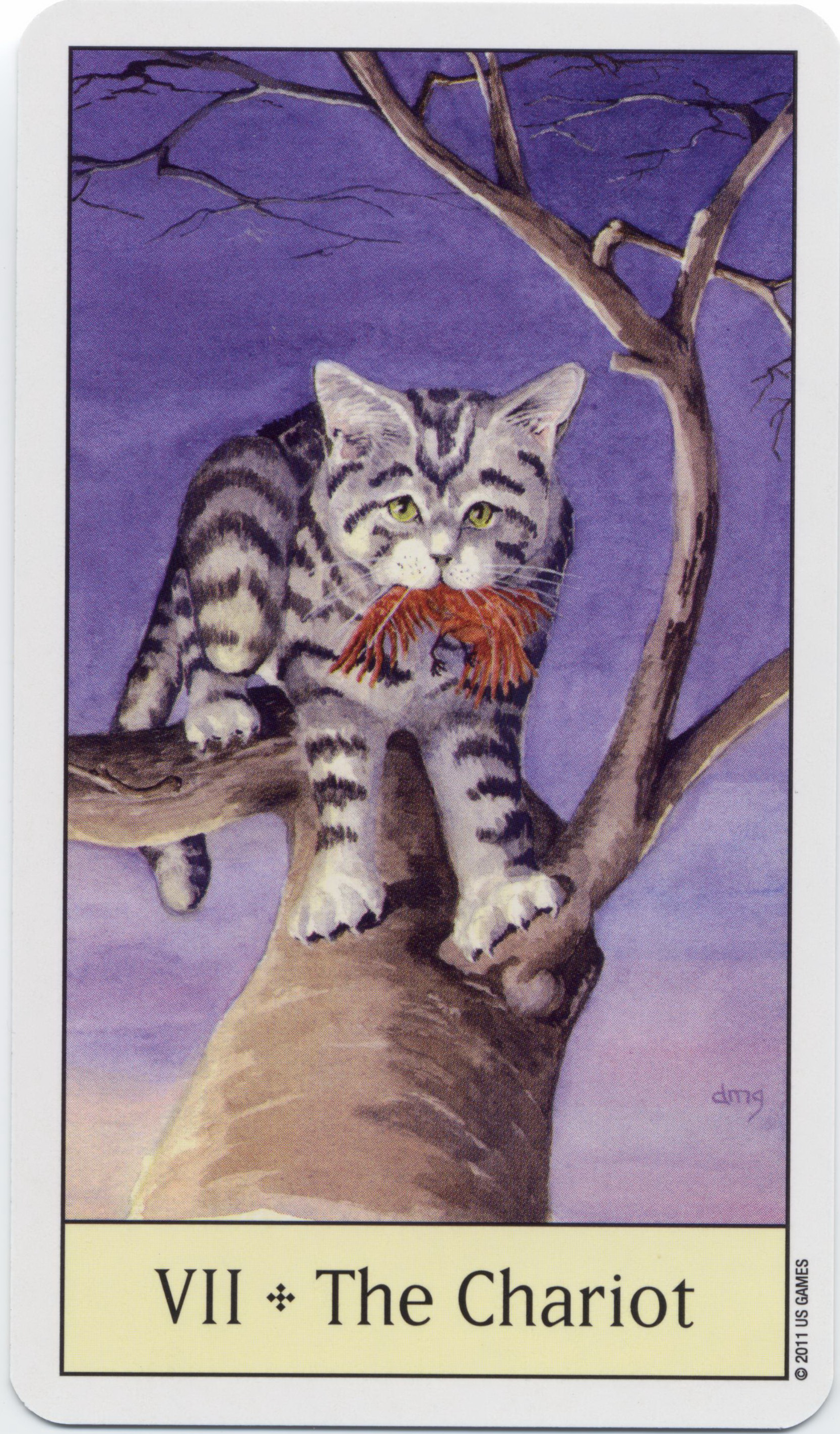 Cat's Eye Tarot