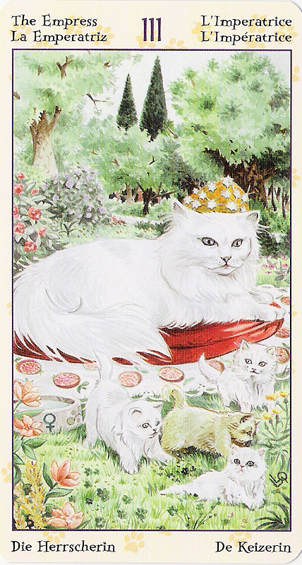 Tarot of Pagan Cats