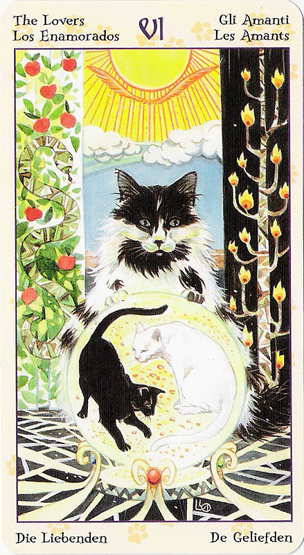 Tarot of Pagan Cats