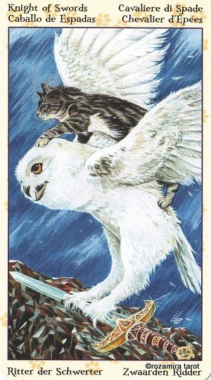 Tarot of Pagan Cats