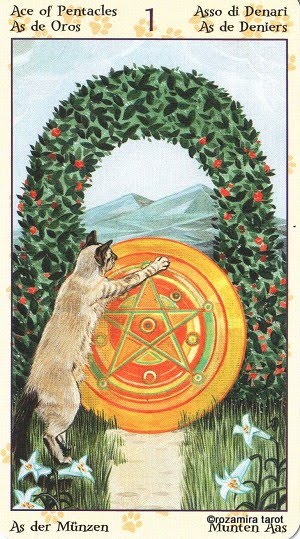 Tarot of Pagan Cats