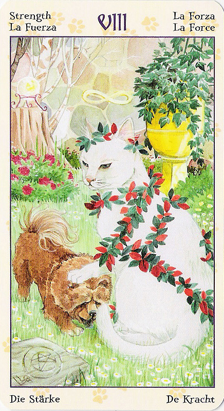 Tarot of Pagan Cats