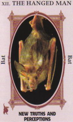 Animal Wise Tarot