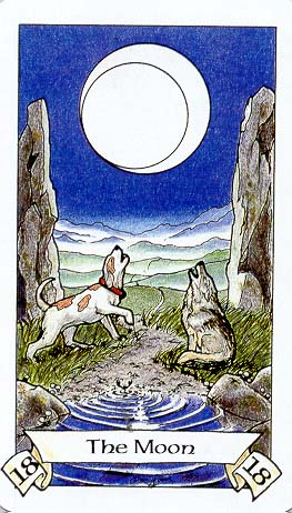 Robin Wood Tarot