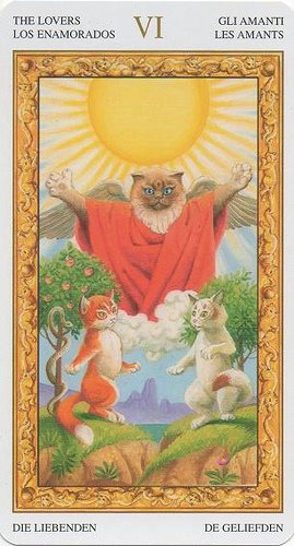 Tarot of White Cats