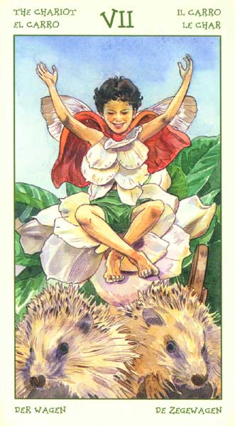 The Spirit of Flowers Tarot