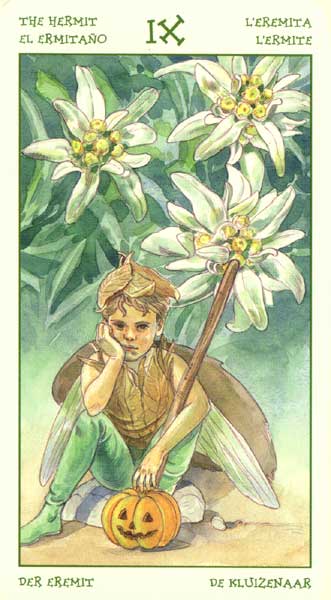 The Spirit of Flowers Tarot