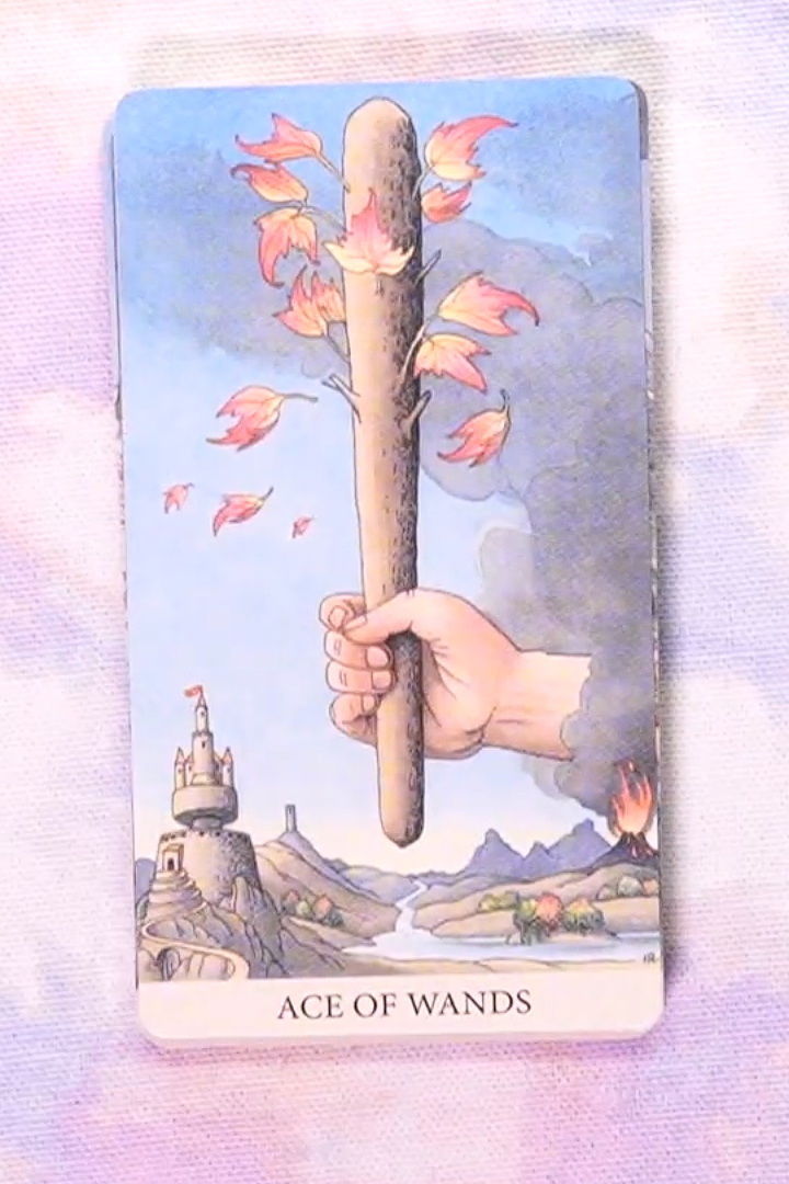 Tarot of the Longest Dream