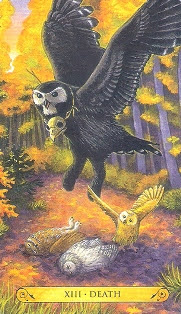 Tarot of the Owls