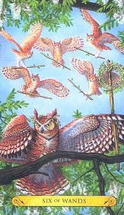 Tarot of the Owls