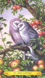 Tarot of the Owls