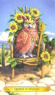 Tarot of the Owls