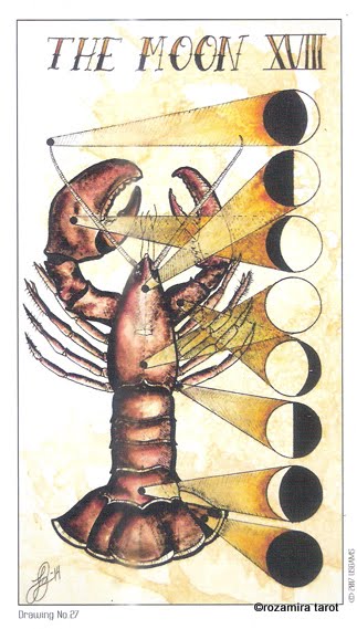 Eight Coins Tattoo Tarot