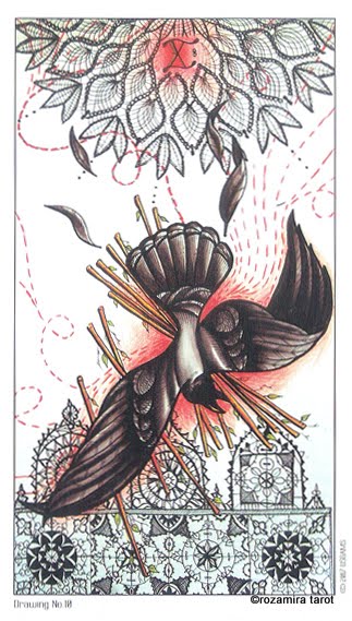 Eight Coins Tattoo Tarot