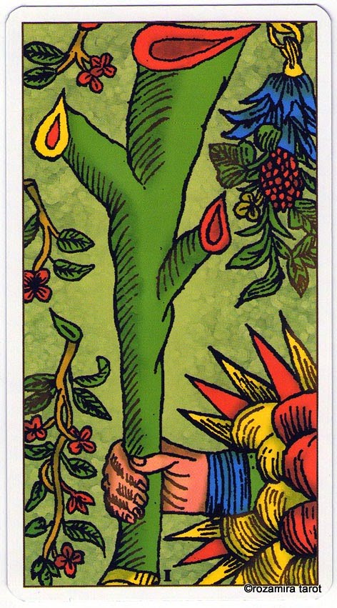 Universal Tarot Of Marseille (LS)