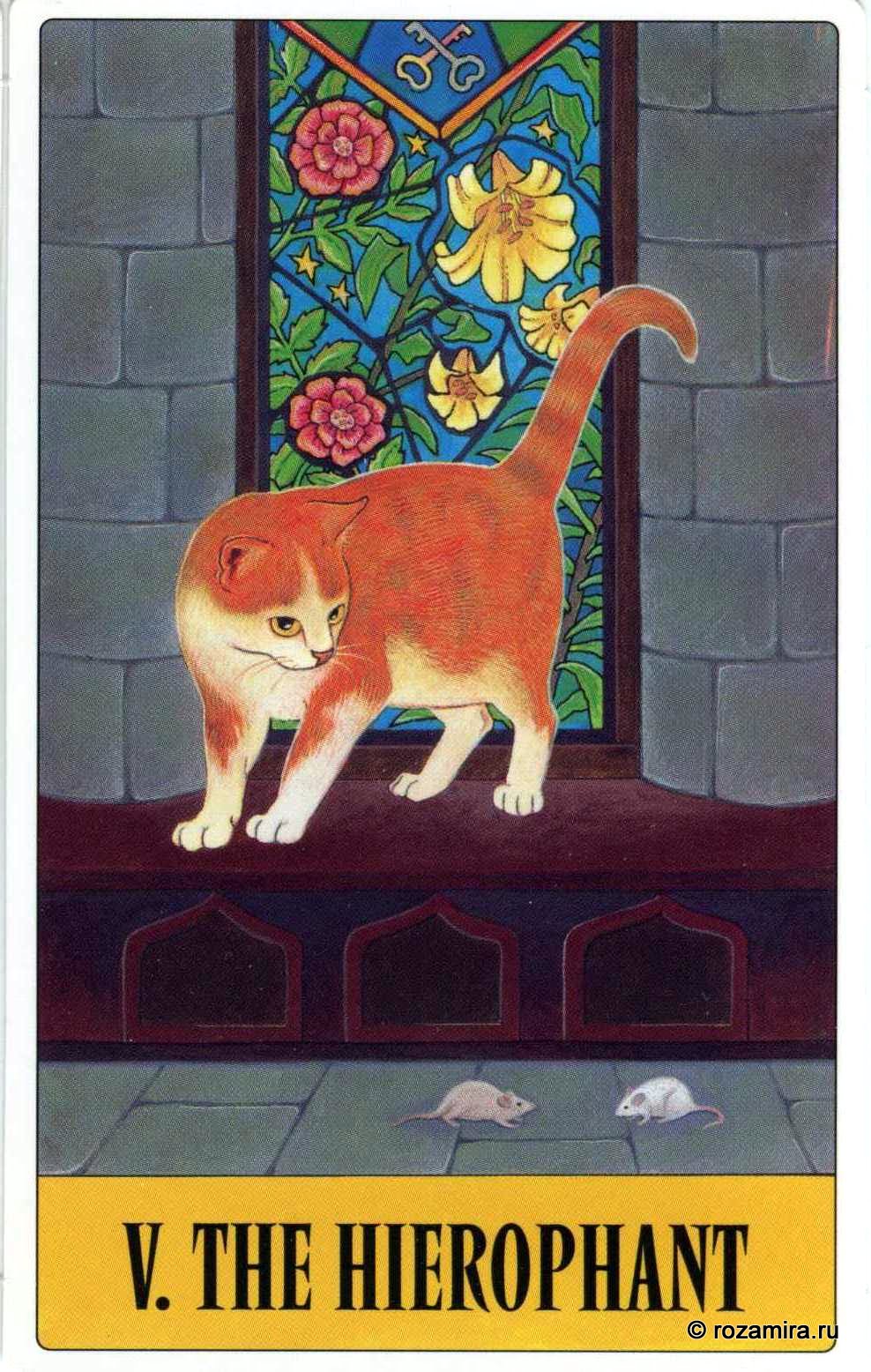 Tarot for Cats