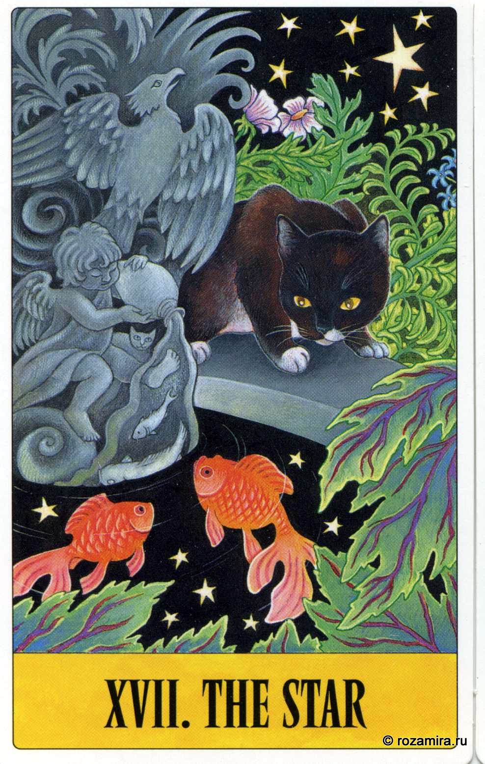 Tarot for Cats