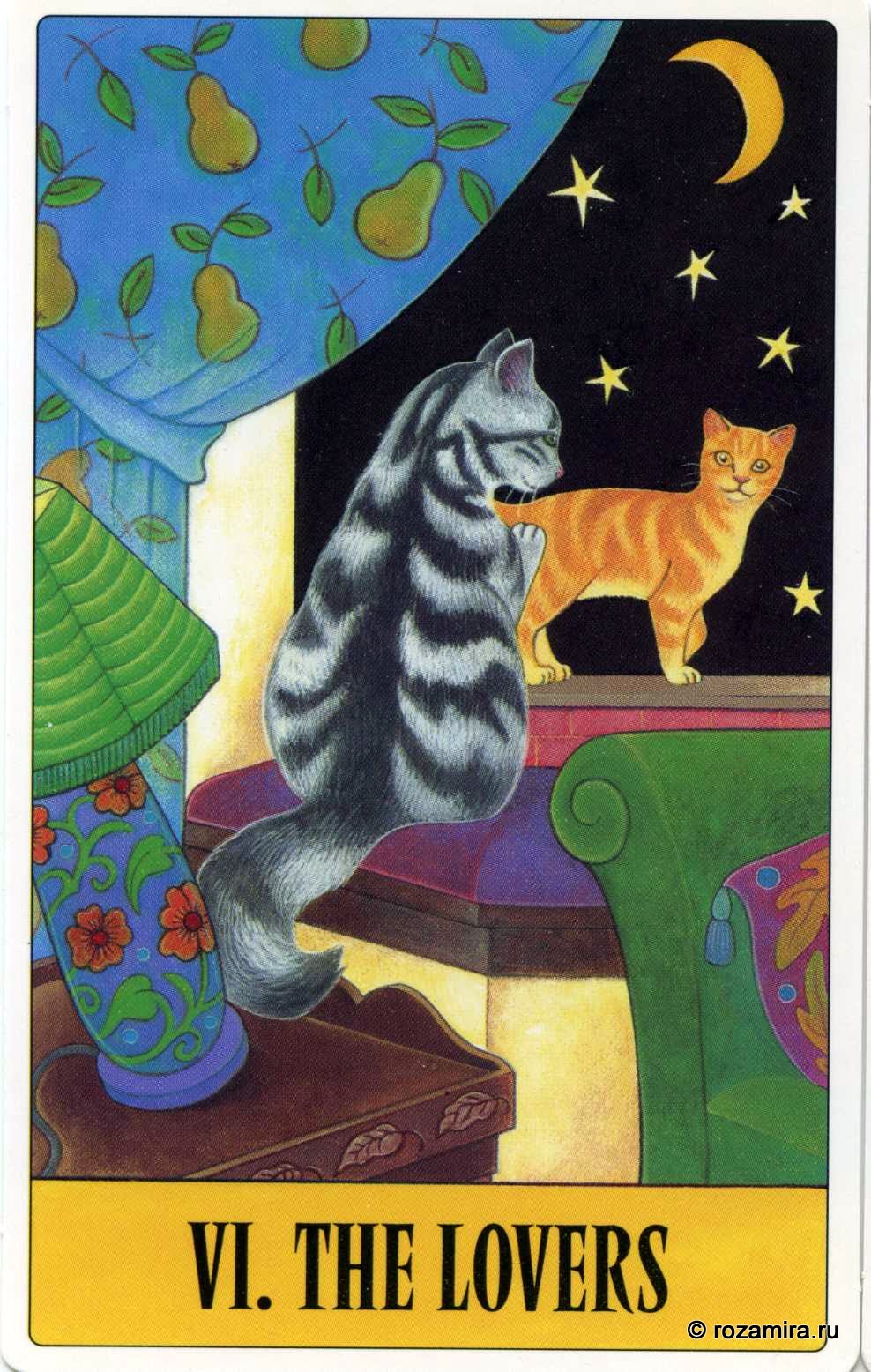 Tarot for Cats