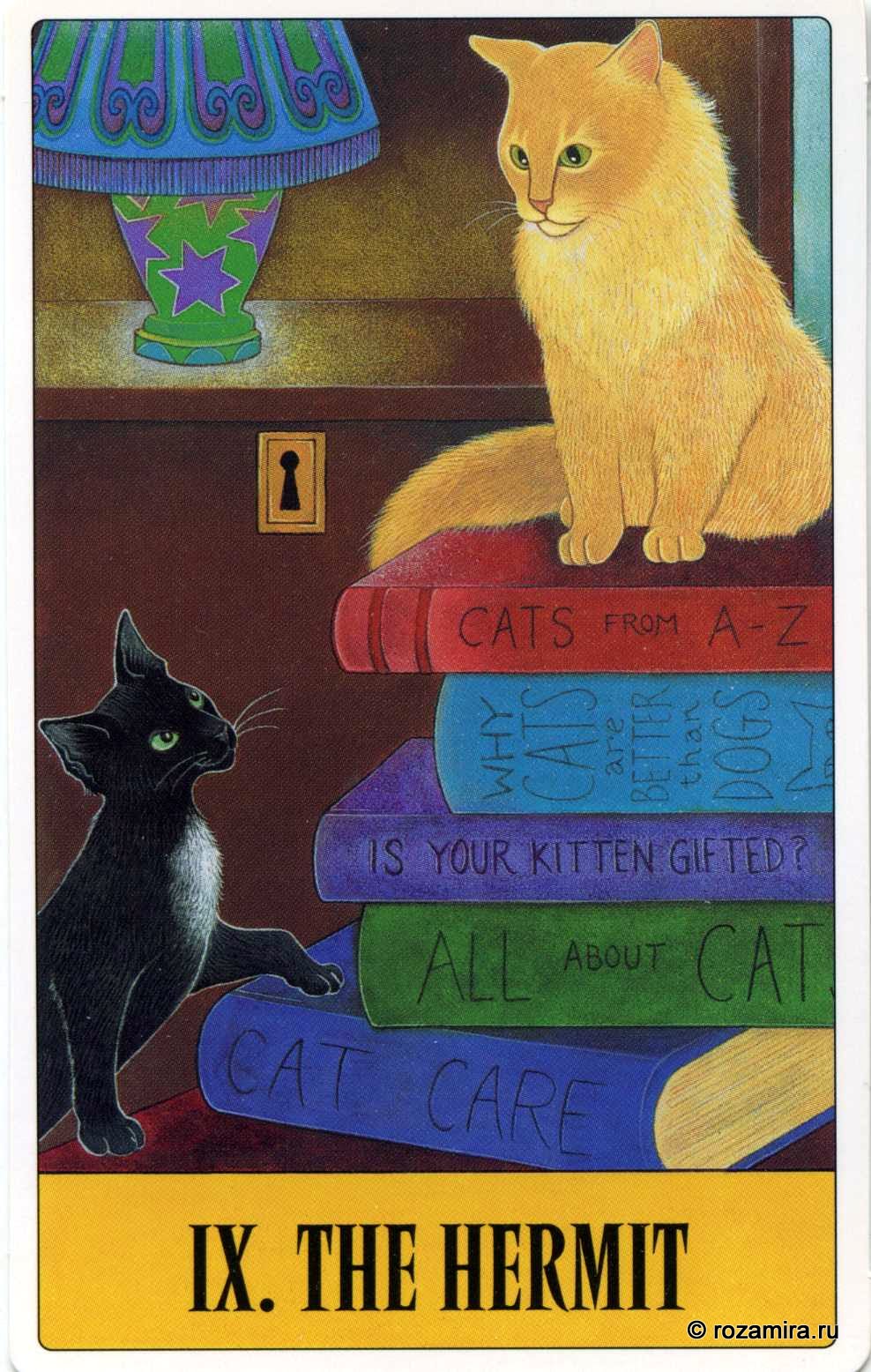 Tarot for Cats