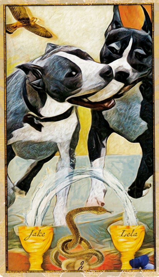 Wise Dog Tarot