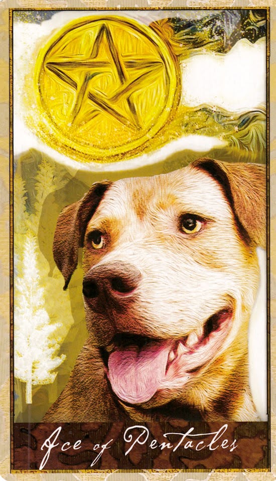 Wise Dog Tarot