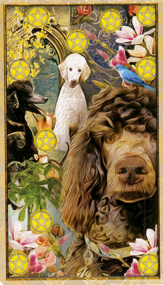 Wise Dog Tarot