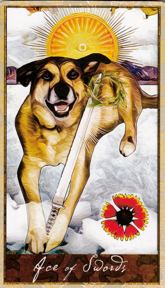 Wise Dog Tarot