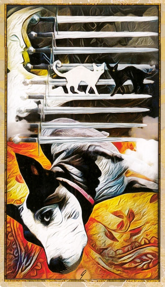 Wise Dog Tarot