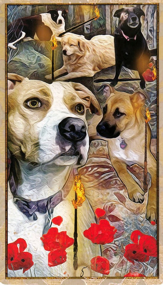 Wise Dog Tarot