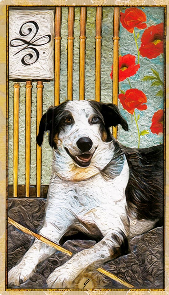 Wise Dog Tarot