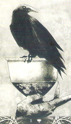 Murder of Crows Tarot