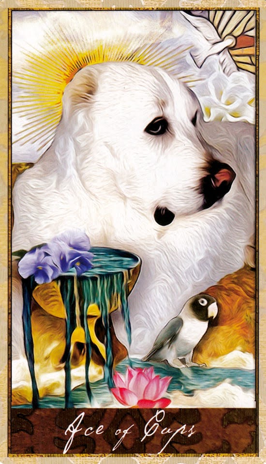 Wise Dog Tarot