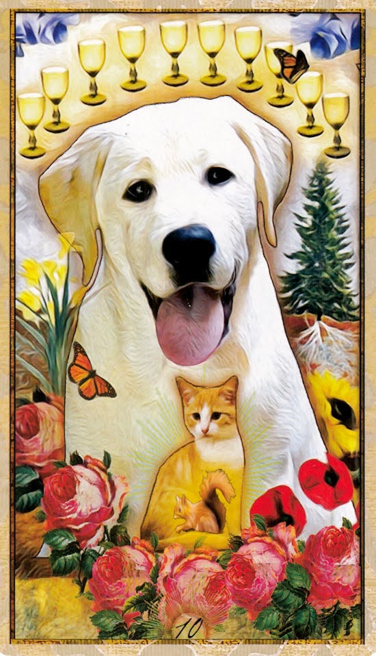 Wise Dog Tarot