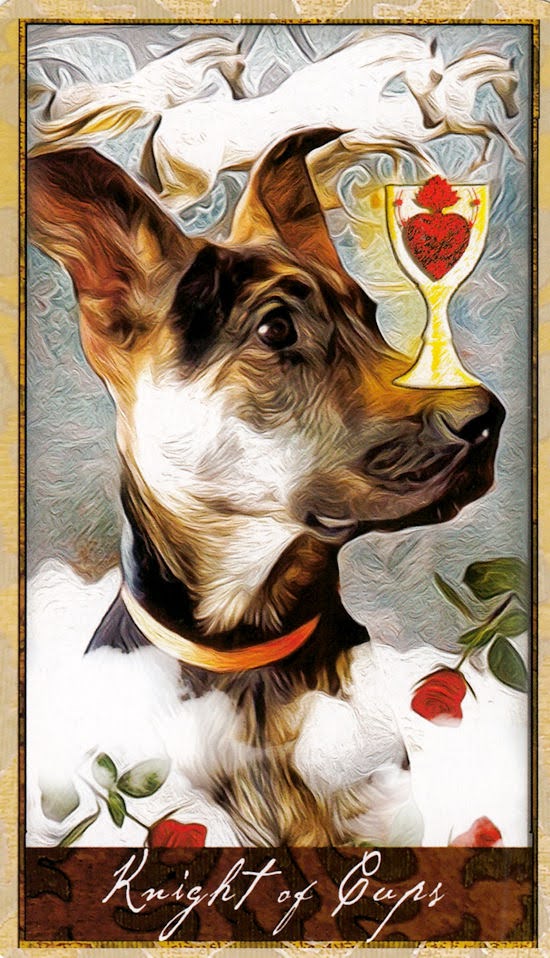 Wise Dog Tarot