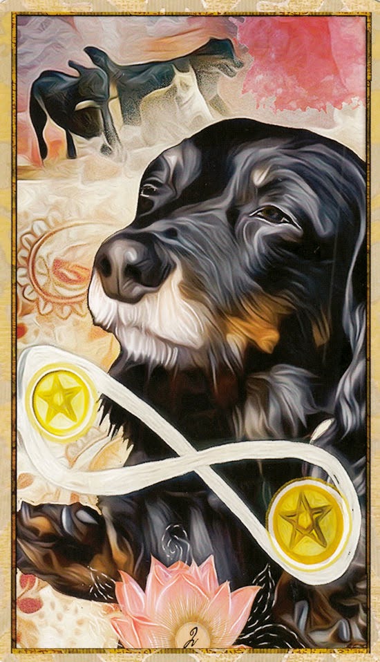 Wise Dog Tarot