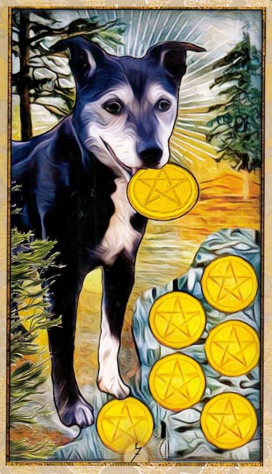 Wise Dog Tarot